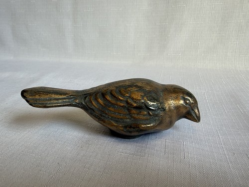Edler spatz vogel - vogel, aus