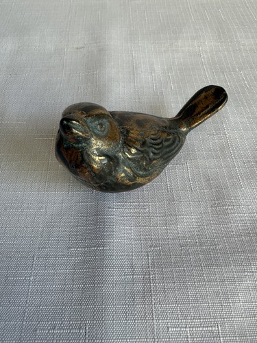 Edler spatz vogel - edler,