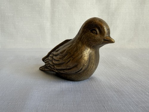 Edler spatz vogel aus - spatz,